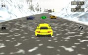 Snowfall Racing Championship