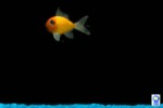 Petfish