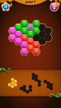 Hexa Puzzle
